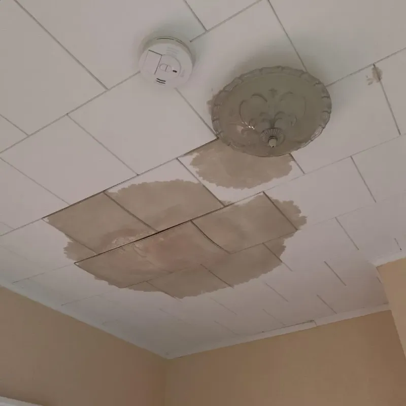 Ceiling Water Damage Repair in Winsted, CT