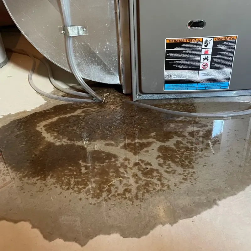 Pipe Burst and Leak Restoration in Winsted, CT