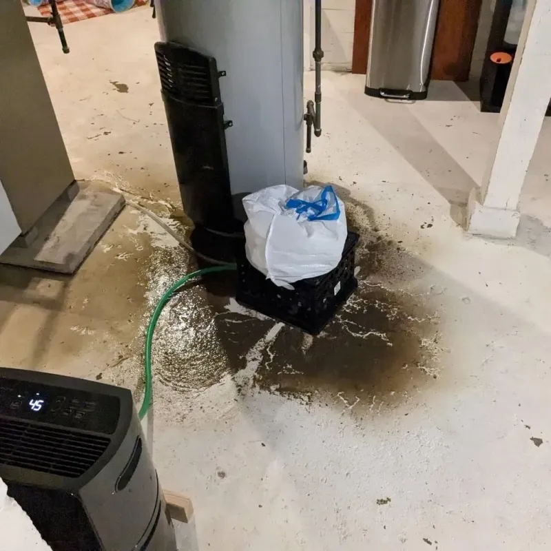 Sewage Backup Cleanup Service in Winsted, CT